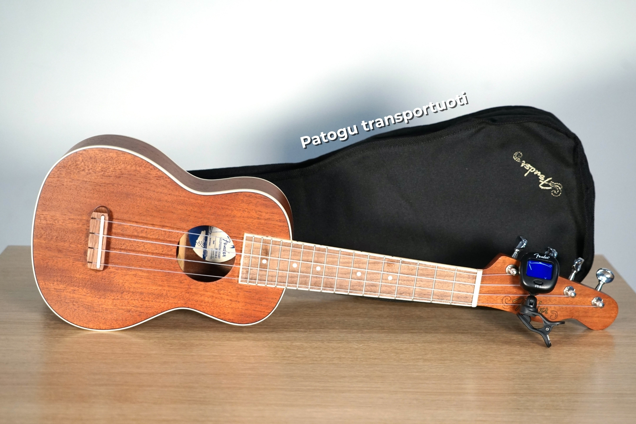 ukulelės rinkinys