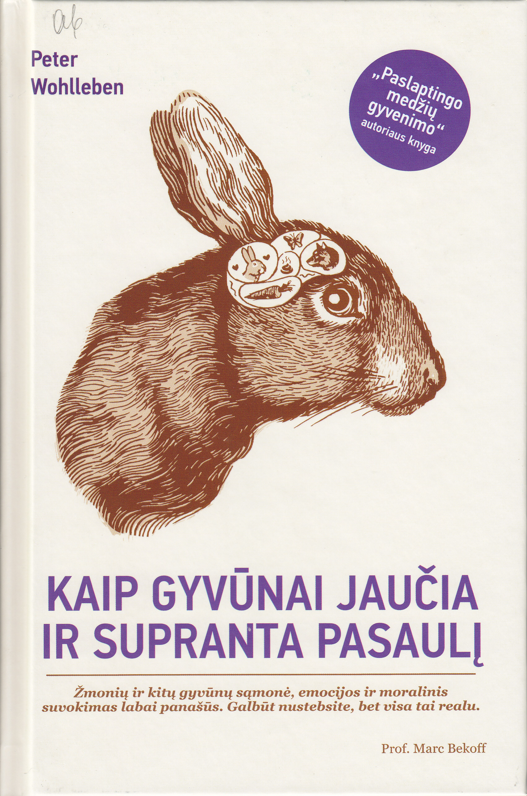virselis