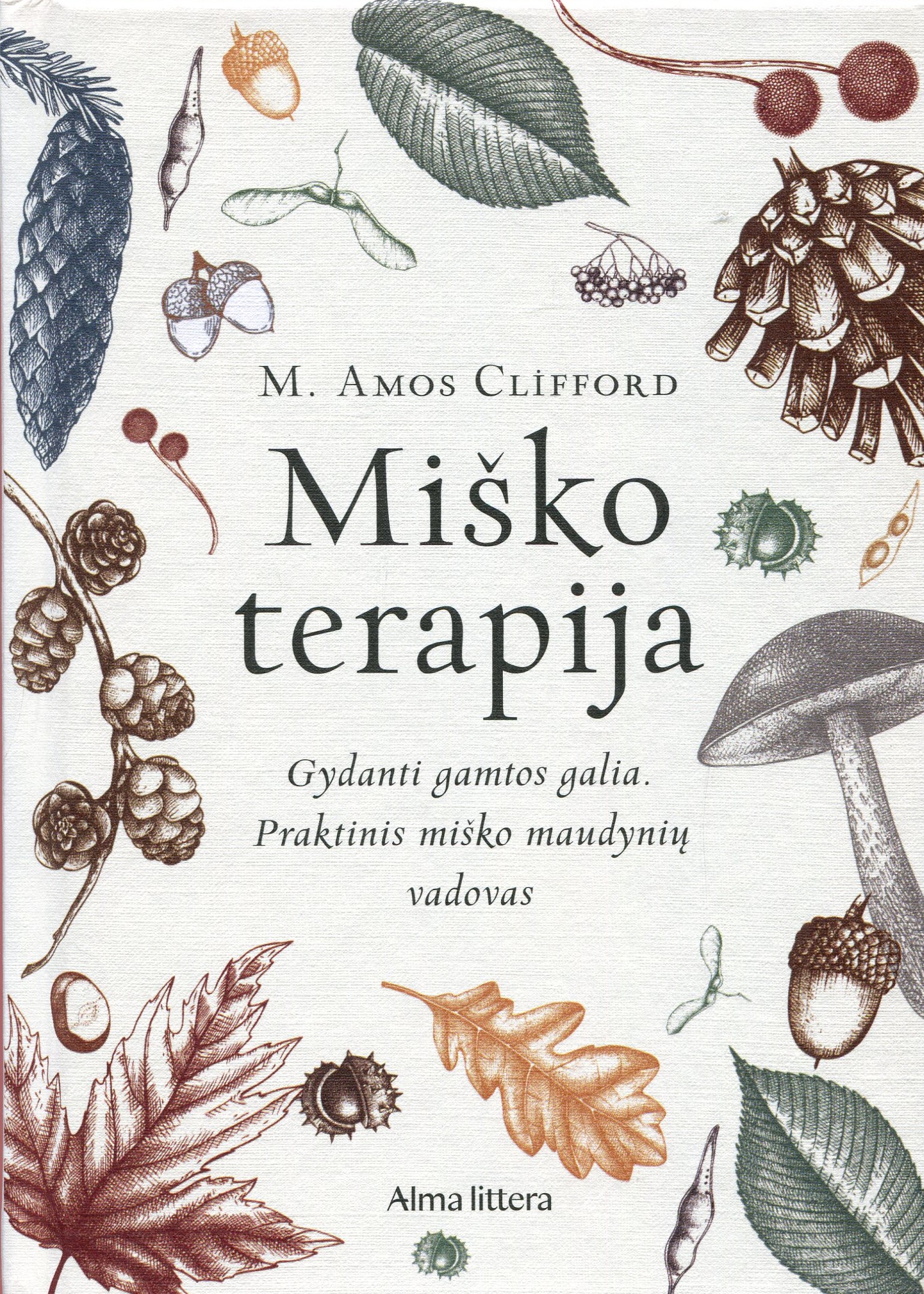 viršelis