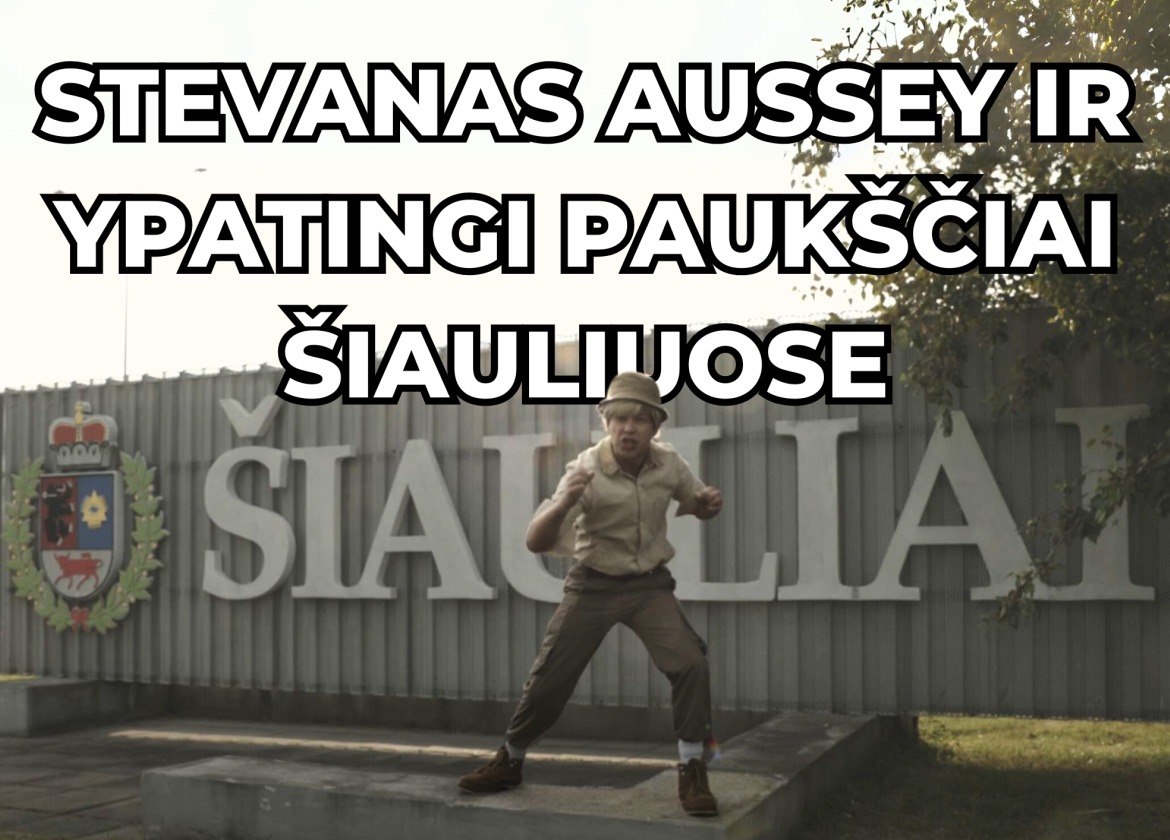 vizualas