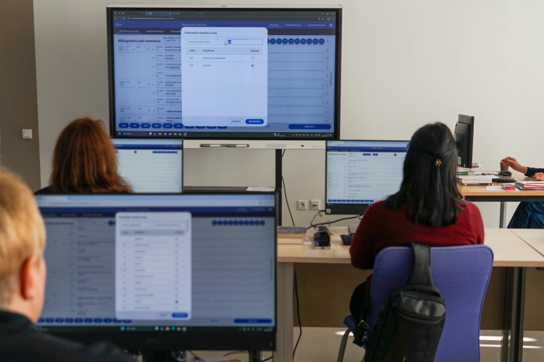 Rodomas programos langas