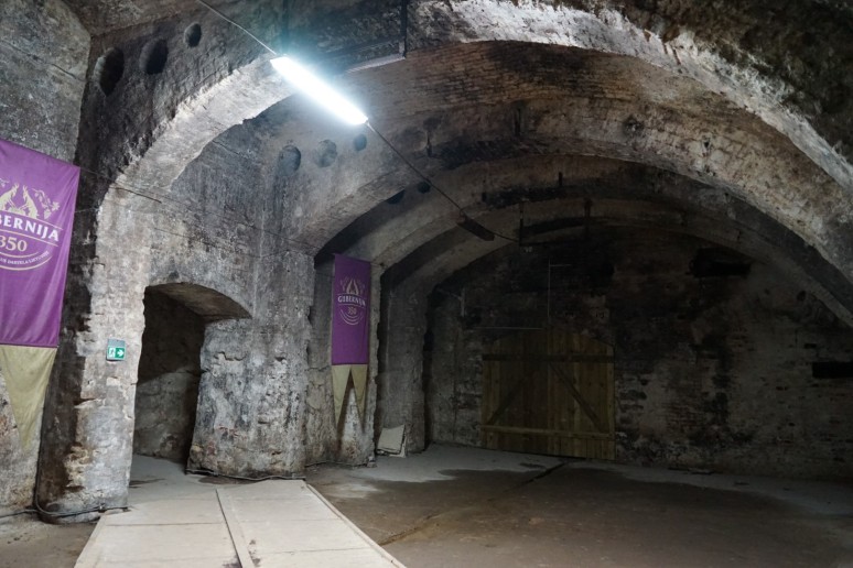 Ekskursija „Gubernijoje“