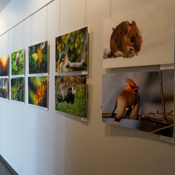 Accord-gallery-photo-3