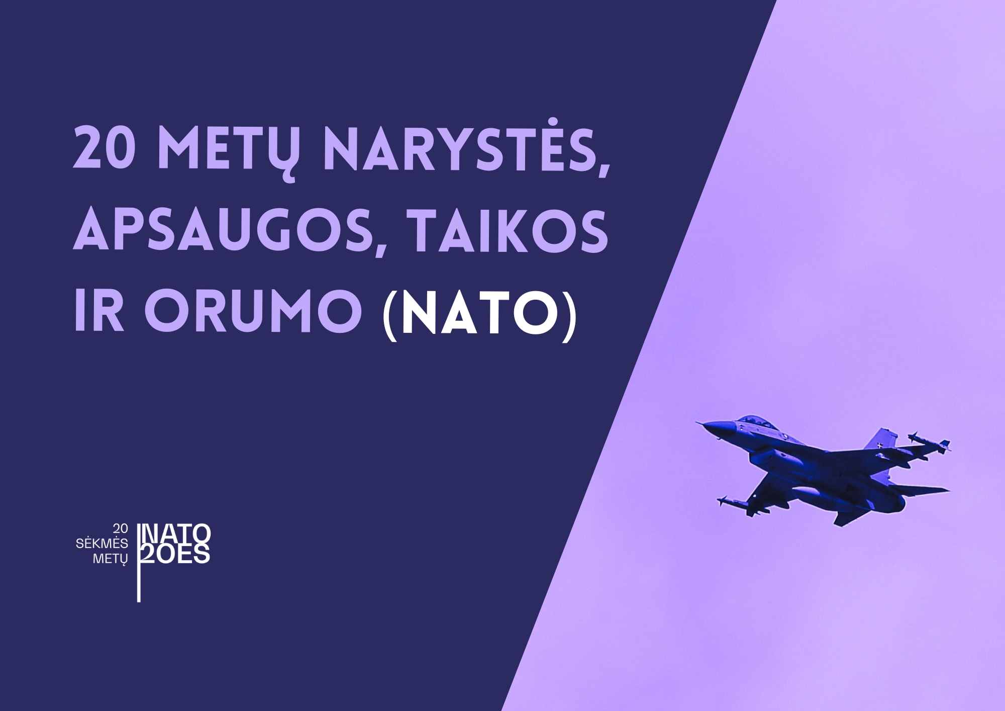 Projekto vizualas